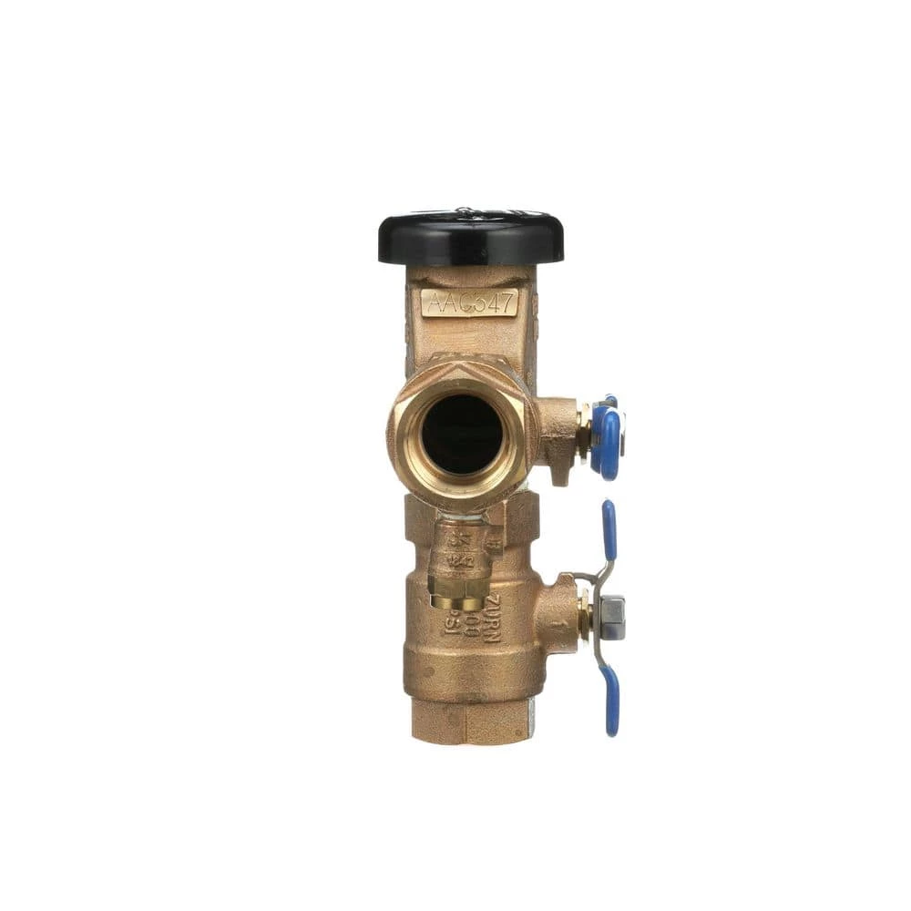 Deals ๐ Zurn 1 in. 710 Pressure Vacuum Breaker Valve Assembly ๐ - Image 3